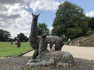 Alpaca toys in Roberts Park