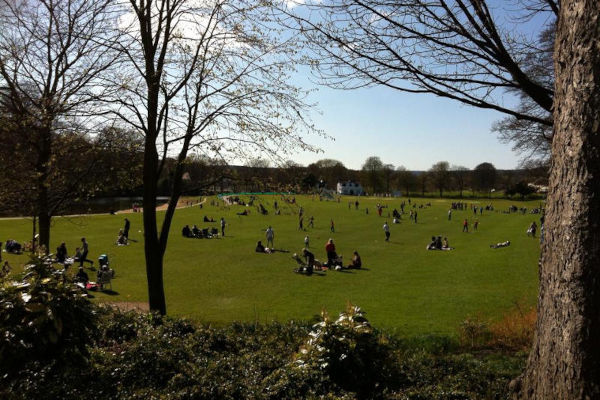 Roberts Park main open space, 2019