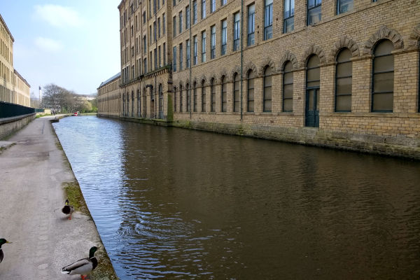 Leeds-Liverpool canal near Salts Mill 2019