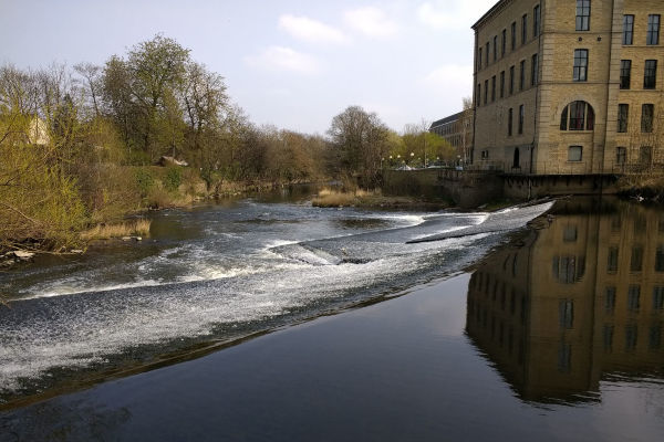 River Aire near Salts Mill 2019